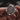 WDC WDC0001 Premier Miyota 9015 Automatic Watch - Forest MOP Dial