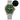 🔥Summer Sale🔥Watchdives WD007 V4 PT5000/SL3001 42mm Titanium NTTD Dive Watch
