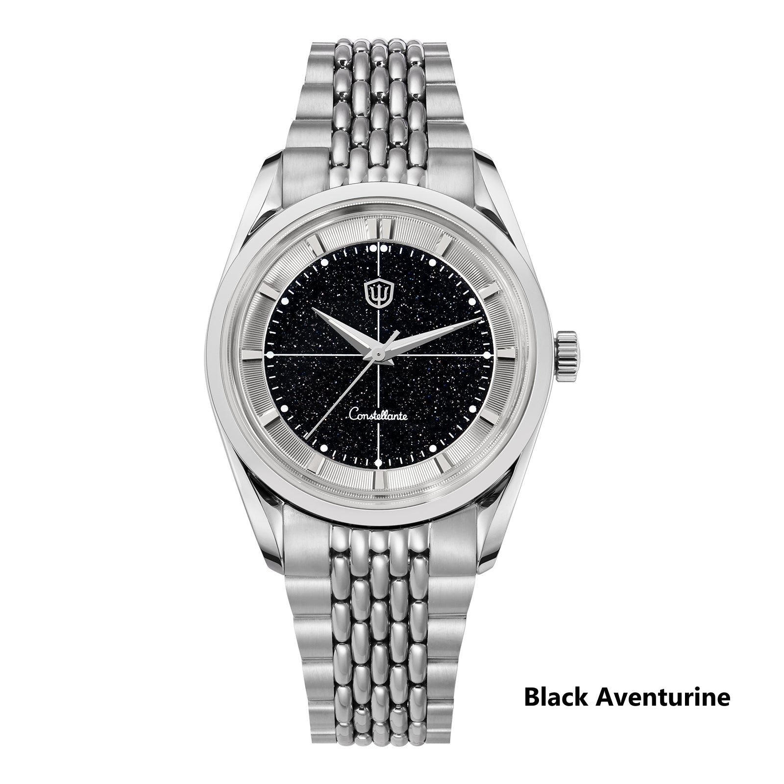 š„Summer Saleš„Watchdives WD1954 Arctic Classic 36mm VH31 Watch