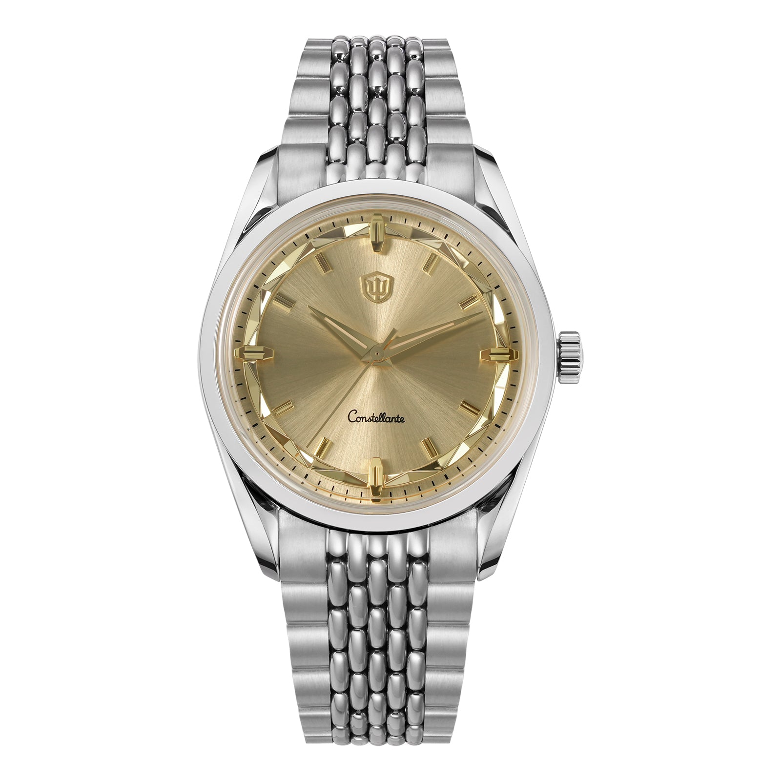 Watchdives WD1954 Arctic Classic 36mm VH31 Quartz Watch – Vintage